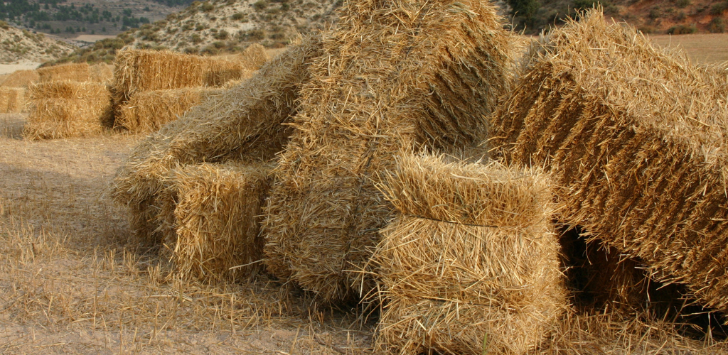 Saman Bəzək İcarəsi