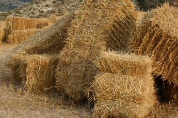 Hay Decoration Rental