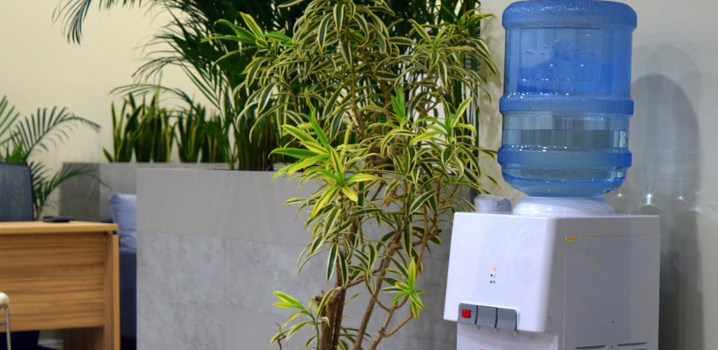 Water Dispenser Rental